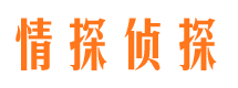 大余市场调查